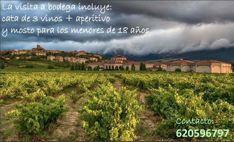 La Puerta De Viana, Con Desayuno, Piscina Y Posibilidad Visita A Bodega! Βίλα Viana  Εξωτερικό φωτογραφία